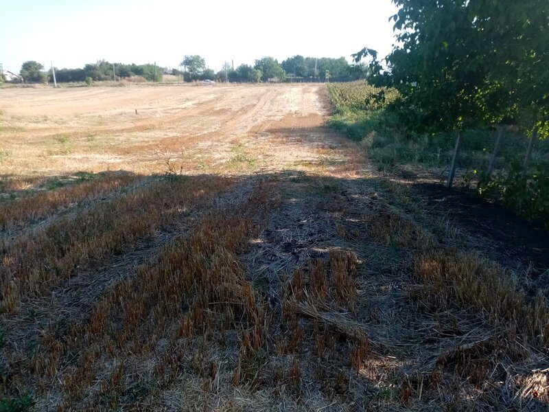 Ghimpati, Giurgiu